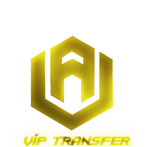 UFC VIP TRANSFER Logo